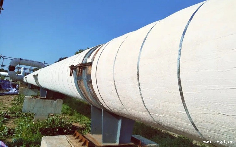 463.jpg